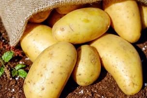 ممنوعیت صادرات پیاز و سیب‌زمینی از ابتدای خرداد