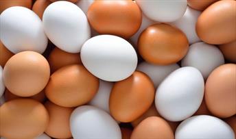 تخم مرغ در میادین تره بار تهران؛ کیلویی ۴۵ هزار تومان