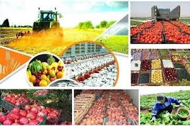 قیمت ارزی کالاهای اساسی و نهاده‌های بخش کشاورزی اعلام شد