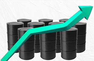 اوپک: قیمت نفت ایران در بهمن امسال ۹۳ دلار