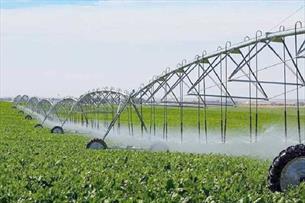 بهره وری آب در بخش کشاورزی باید بهبود یابد
