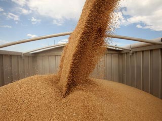 ارزانی آرد در ایران، محرک قاچاق است/ گندم وارد می‌کنیم و آرد یارانه‌ای به صنایع می‌دهیم
