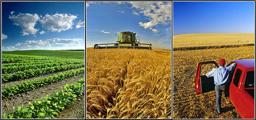 بهبود تراز تجاری کشاورزی