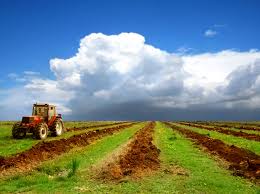 کاهش ۳۰ درصدی واردات کشاورزی طی۲ سال