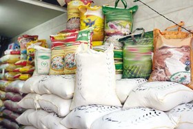 واردات ۶۰۰ هزار تنی برنج