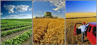 افت پاییزی صادرات در بخش کشاورزی