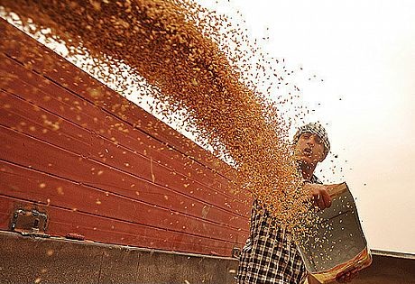 درخواست وزارت جهاد کشاورزی برای تعیین قیمت ۱۴هزار ریالی برای سبوس گندم