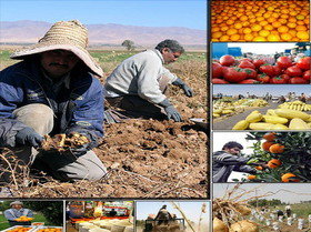 تشکیل کنسرسیوم تجارت محصولات کشاورزی میان ایران، روسیه و قزاقستان