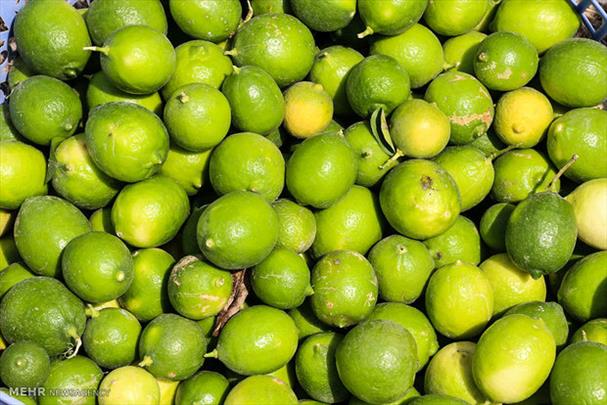 عطرگمشده لیموی ایرانی درهوای واردات