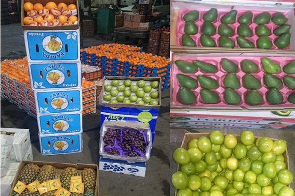 بهانه سازی برای واردات میوه
