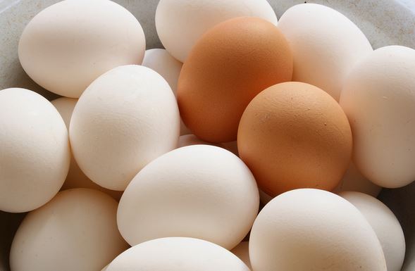 رشد ۸ تا ۱۰ دلاری تخم مرغ وارداتی از ترکیه