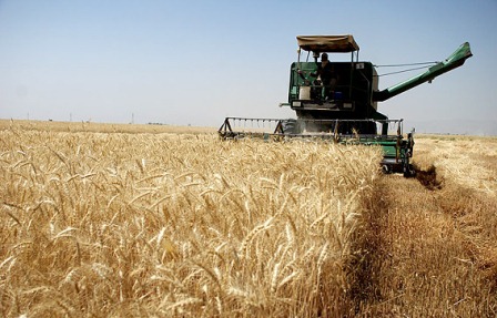 افزایش ۳۰۰ برابری سرمایه گذاری های خارجی بخش کشاورزی در پسابرجام