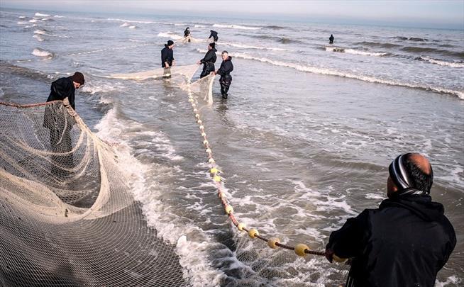 تور ماهیگیران مازندران ۱۵ فروردین از دریای خزر جمع می‌شود