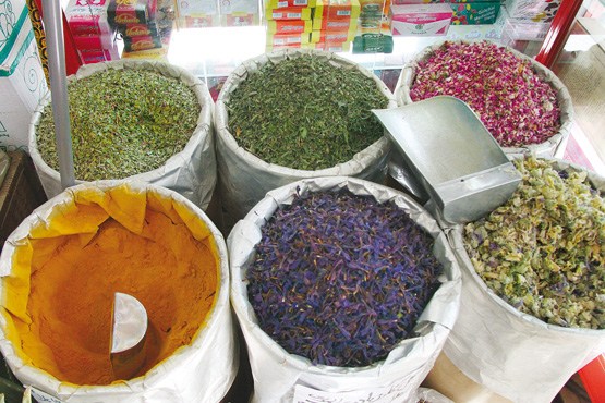 سهم بسیار نامناسب ایران در تجارت گیاهان دارویی 