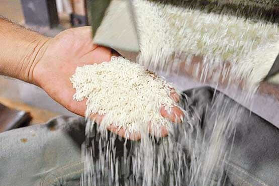 نیاز ۷۵۰ هزار تنی برای واردات برنج 