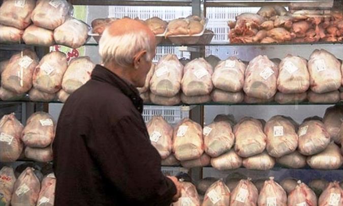 قیمت مرغ در میادین میوه و تره بار تهران کاهش یافت