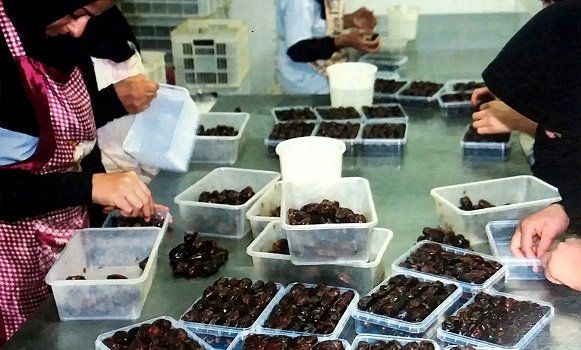 خرما ماه مبارک رمضان تامین است/محدودیت صادرات خرما به ضرر تولیدکنندگان می‌شود