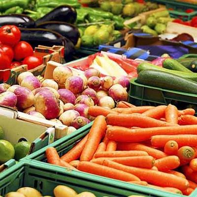 روسیه صادرات محصولات کشاورزی به ایران را افزایش می دهد