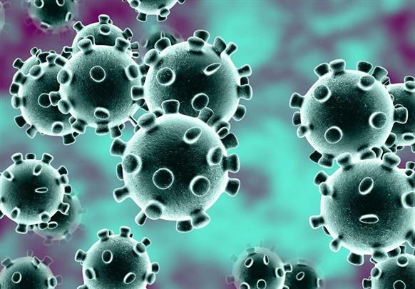 چگونه بنگاههای اقتصادی میتوانند در جنگ با ویروس کووید۱۹ کمک کنند؟